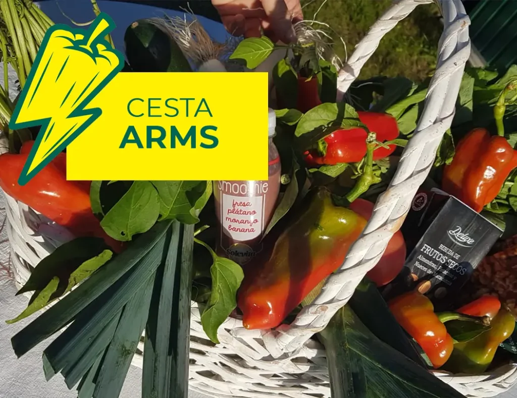 cesta ARMS