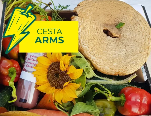 cesta arms